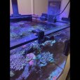 画像3: オリジナル3D　ReefVeiwホルダー (3)