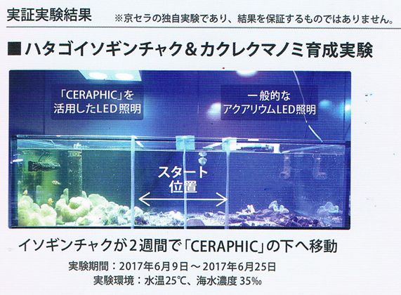 新品登場 京セラ 納期0.5ヶ月＞アクアリウム用スポットライト CERAPHIC（京セラ株式会社） LED – CERAPHIC（セラフィック