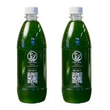 画像: オリジナルライブフィトプランクトン500ml　ｘ2本セット