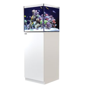 取寄】新G2モデルRedSea REEFER 250 White(90cm) フランジ付き - 海水