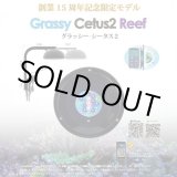 画像: 【数量限定販売】Grassy Cetus2 Reef（グラッシー・シータス2）