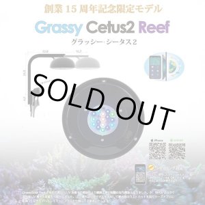 画像: 【数量限定販売】Grassy Cetus2 Reef（グラッシー・シータス2）